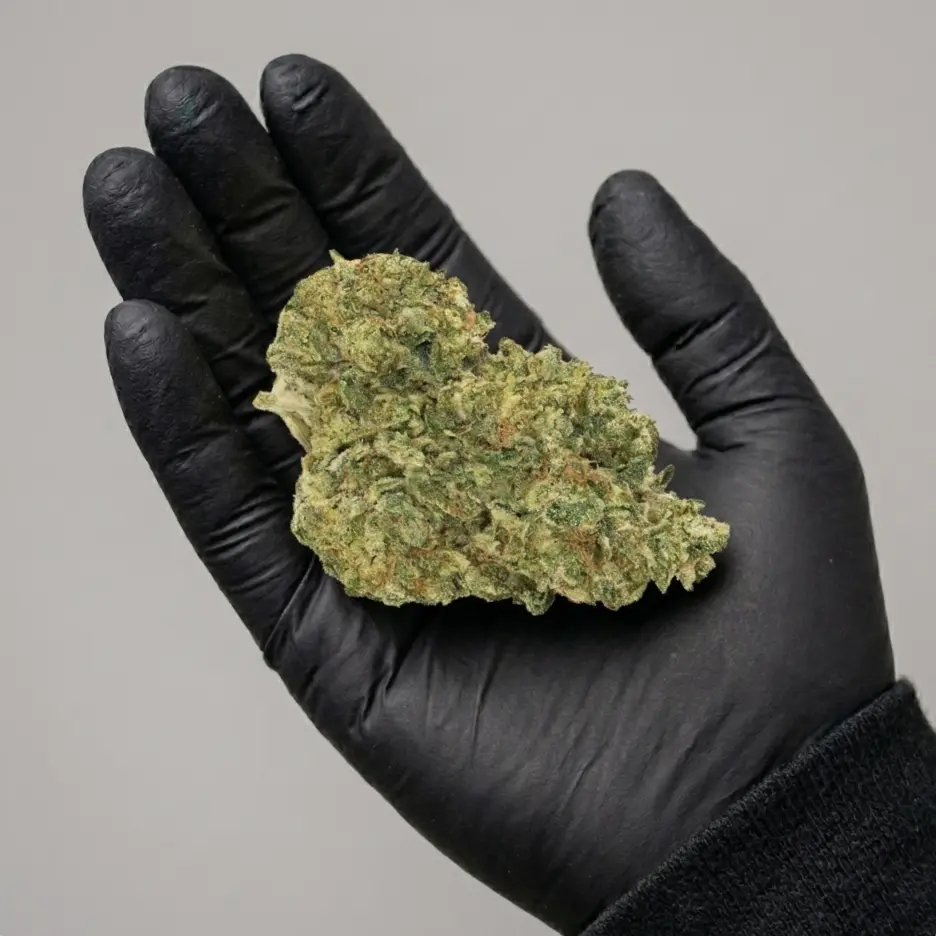 Glasshouse Seedless SUPER LEMON HAZE Flowers (kg)