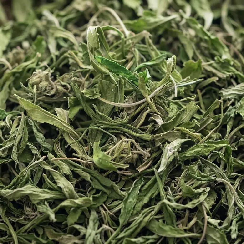 HQ Bio 15% CBD Tea/Trim (kg)